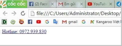Tạo nút Hotline cho website wordpress